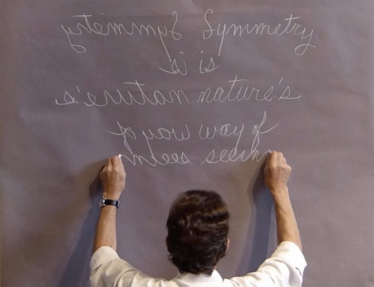 Paul Kos, Symmetry, Single channel video still, 2004-2016